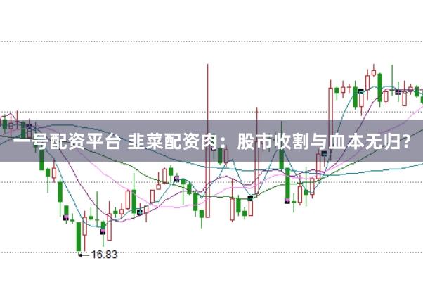 一号配资平台 韭菜配资肉：股市收割与血本无归？