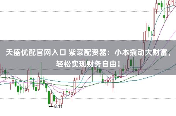 天盛优配官网入口 紫菜配资器：小本撬动大财富，轻松实现财务自由！
