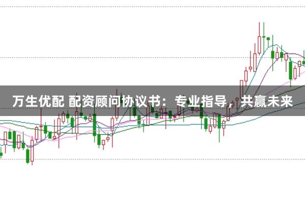 万生优配 配资顾问协议书:专业指导,共赢未来
