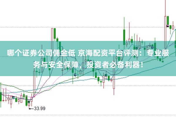 哪个证券公司佣金低 京海配资平台评测:专业服务与安全保障,投资者必备利器!