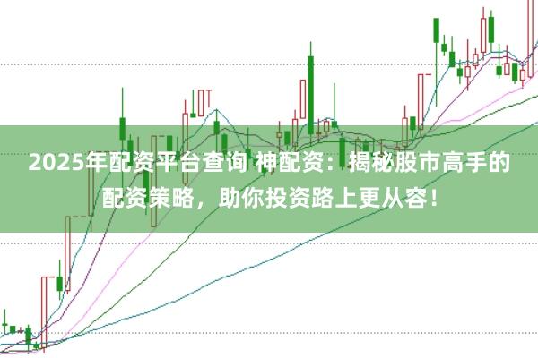 2025年配资平台查询 神配资：揭秘股市高手的配资策略，助你投资路上更从容！