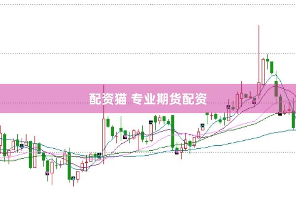 配资猫 专业期货配资
