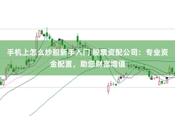 手机上怎么炒股新手入门 股票资配公司：专业资金配置，助您财富增值