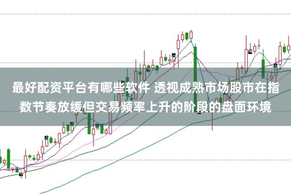 最好配资平台有哪些软件 透视成熟市场股市在指数节奏放缓但交易频率上升的阶段的盘面环境