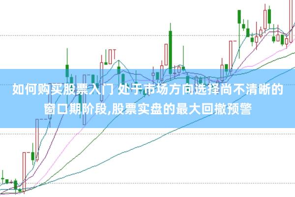 如何购买股票入门 处于市场方向选择尚不清晰的窗口期阶段,股票实盘的最大回撤预警