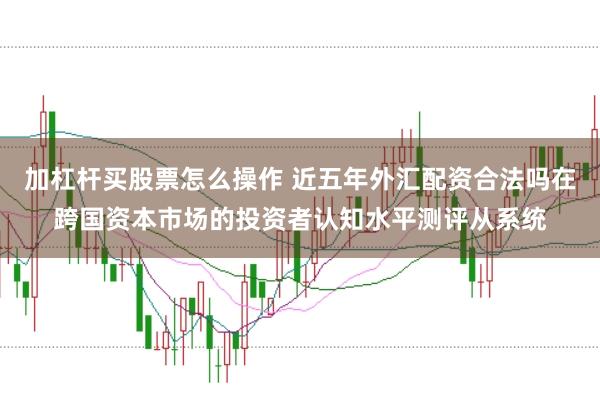 加杠杆买股票怎么操作 近五年外汇配资合法吗在跨国资本市场的投资者认知水平测评从系统