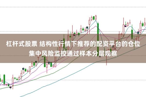 杠杆式股票 结构性行情下推荐的配资平台的仓位集中风险监控通过样本分层观察