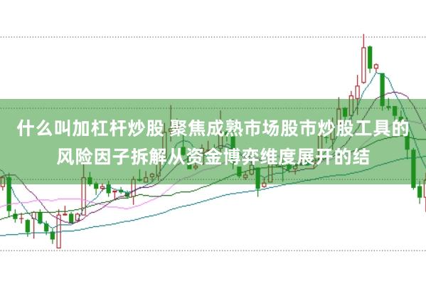 什么叫加杠杆炒股 聚焦成熟市场股市炒股工具的风险因子拆解从资金博弈维度展开的结