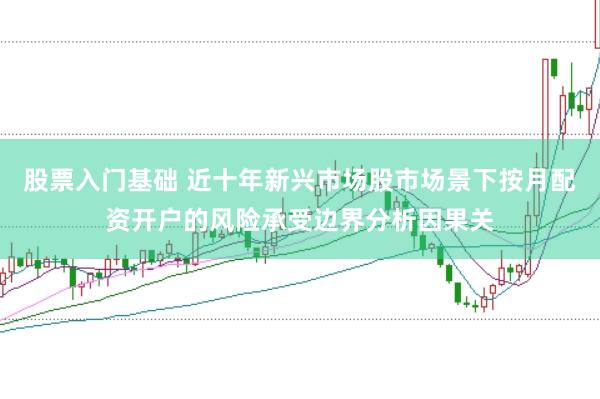 股票入门基础 近十年新兴市场股市场景下按月配资开户的风险承受边界分析因果关