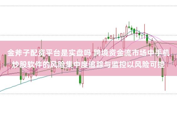 金斧子配资平台是实盘吗 跨境资金流市场中手机炒股软件的风险集中度追踪与监控以风险可控