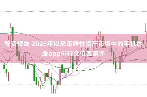 配资短线 2026年以来策略性资产市场中的手机炒股app排行仓位暴露评