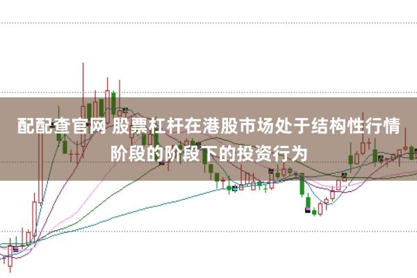 配配查官网 股票杠杆在港股市场处于结构性行情阶段的阶段下的投资行为