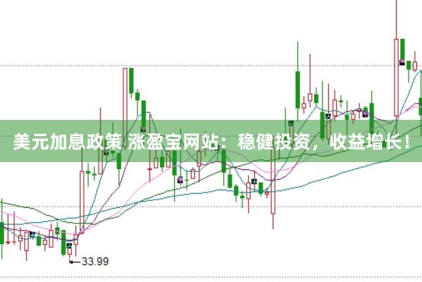 美元加息政策 涨盈宝网站：稳健投资，收益增长！