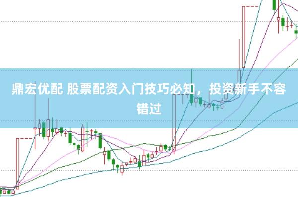 鼎宏优配 股票配资入门技巧必知，投资新手不容错过