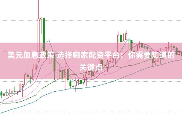 美元加息政策 选择哪家配资平台:你需要知道的关键点