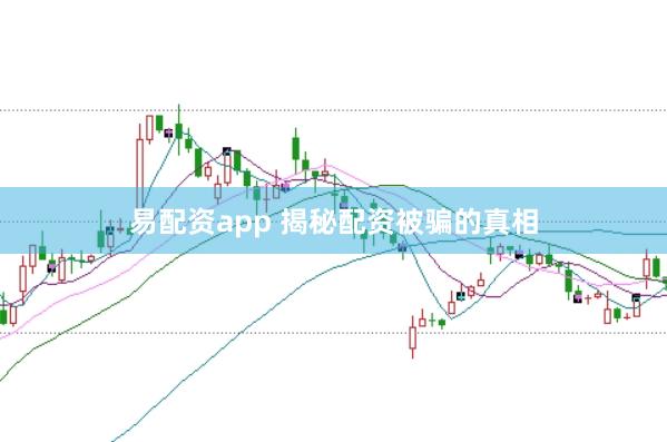 易配资app 揭秘配资被骗的真相