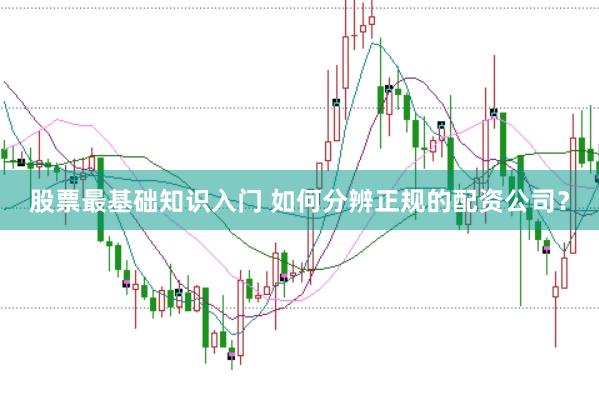 股票最基础知识入门 如何分辨正规的配资公司？