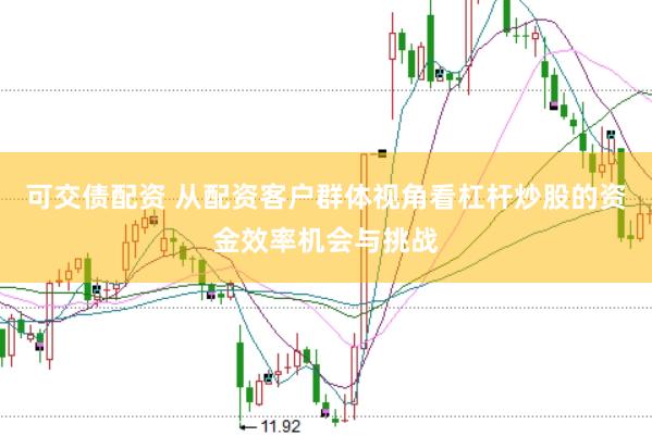 可交债配资 从配资客户群体视角看杠杆炒股的资金效率机会与挑战