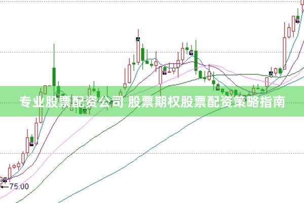 专业股票配资公司 股票期权股票配资策略指南