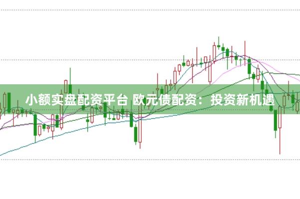 小额实盘配资平台 欧元债配资：投资新机遇