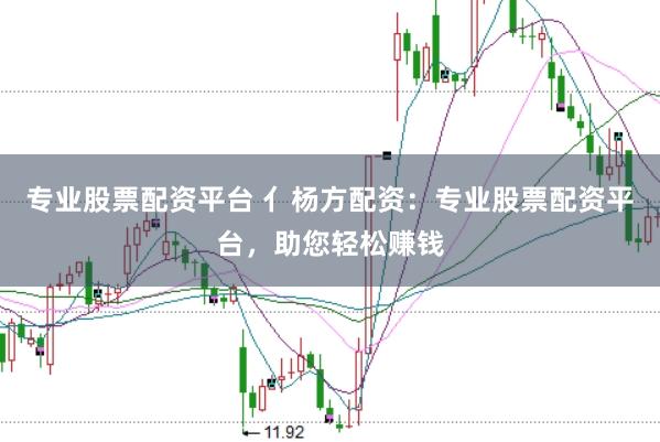专业股票配资平台 亻杨方配资：专业股票配资平台，助您轻松赚钱
