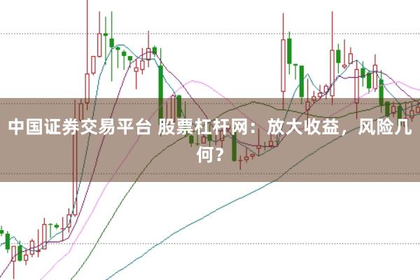 中国证券交易平台 股票杠杆网：放大收益，风险几何？