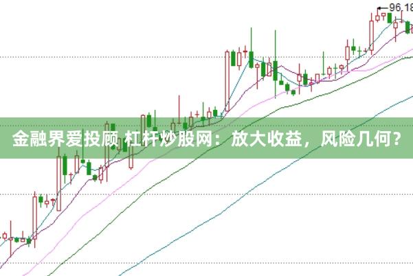 金融界爱投顾 杠杆炒股网：放大收益，风险几何？